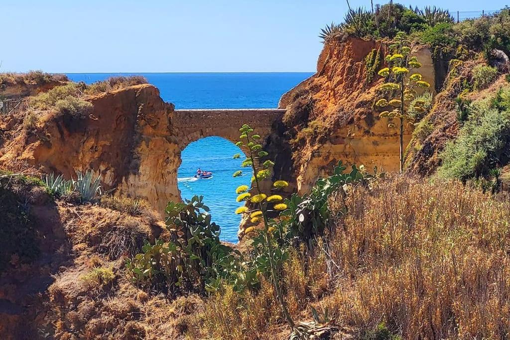 Lagos-piscine Et Mer- Do Mar Lagos